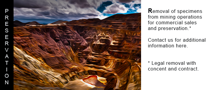 we pay cash for rock and mineral collections